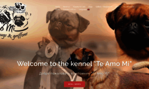 Te-amo-mi.com thumbnail