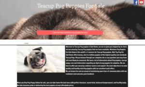 Teacuppugpuppies4sale.com thumbnail