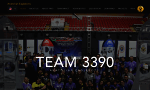 Team3390.com thumbnail