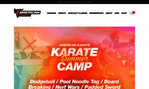 Teamamericankarate.com thumbnail