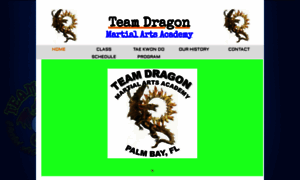 Teamdragonflorida.com thumbnail