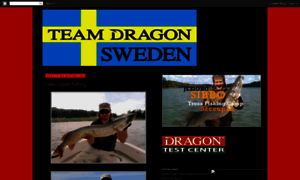 Teamdragonsweden.blogspot.com thumbnail