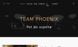 Teamphoenix.si thumbnail