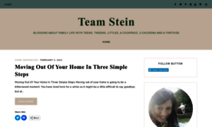 Teamsteinblog.com thumbnail