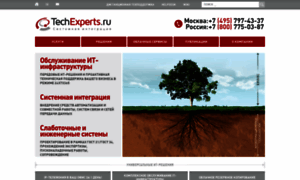 Techexperts.ru thumbnail