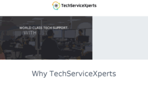 Techservicexperts.com thumbnail