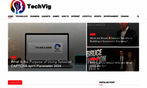 Techvig.net thumbnail