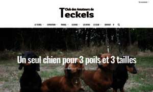 Teckelclubfrance.com thumbnail