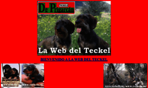 Teckels.es thumbnail