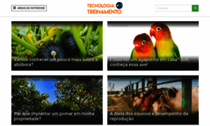 Tecnologiaetreinamento.com.br thumbnail