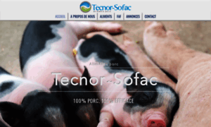 Tecnor-sofac.fr thumbnail