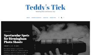 Teddystick.com thumbnail