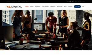 Tedigitalmarketing.com thumbnail