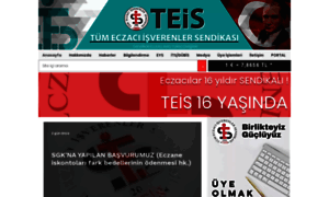 Teis.org.tr thumbnail