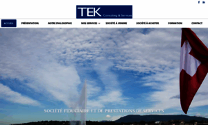 Tek-consulting-services.ch thumbnail