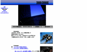 Tekkin-proshop.mods.jp thumbnail