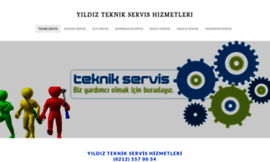 Teknikservisiniz.com thumbnail