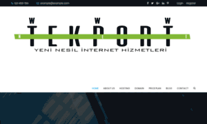 Tekport.net thumbnail
