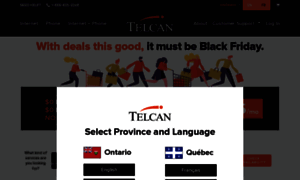 Telcan.com thumbnail