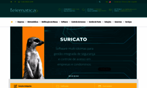 Telematica.com.br thumbnail