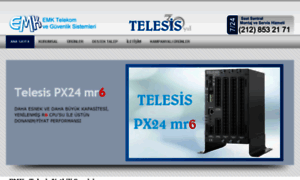 Telesis-musterihizmetleri.com thumbnail