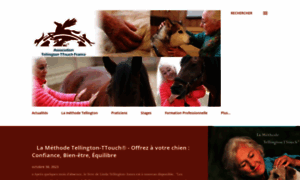 Tellington-ttouch.fr thumbnail