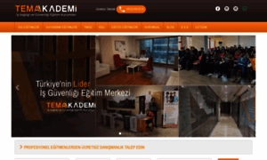 Temaakademi.com.tr thumbnail