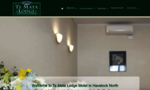 Tematalodgemotel.co.nz thumbnail