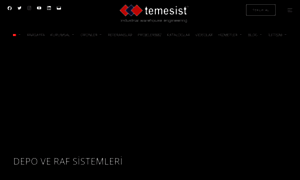 Temesist.com thumbnail