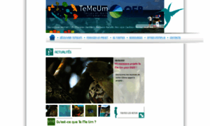 Temeum.ofb.fr thumbnail