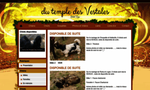 Templedesvestales.chiens-de-france.com thumbnail