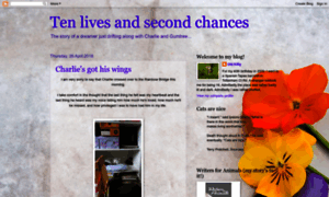 Ten-lives-second-chances.blogspot.com thumbnail