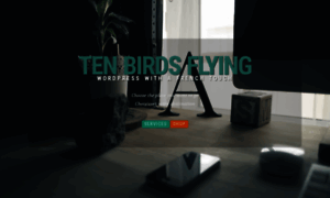 Tenbirdsflying.com thumbnail