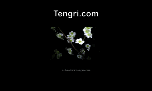 Tengri.com thumbnail