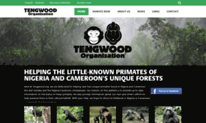 Tengwood.org thumbnail