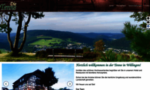 Tenne-willingen.de thumbnail