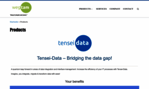 Tensei-data.com thumbnail