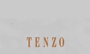 Tenzo-jewellery.com thumbnail