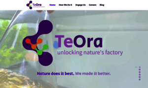 Teora.life thumbnail