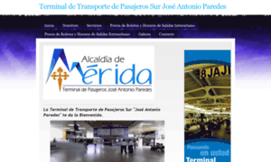 Terminaldemerida.com.ve thumbnail