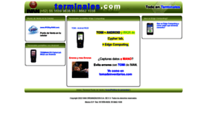Terminales.com thumbnail