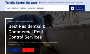 Termitecontrolgurgaon.co.in thumbnail