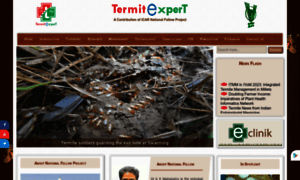 Termitexpert.in thumbnail