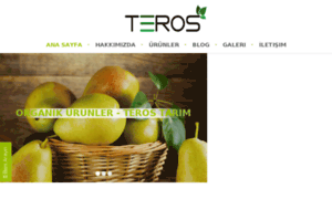 Teros.com.tr thumbnail