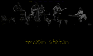 Terrapin-station.com thumbnail