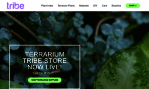 Terrariumtribe.com thumbnail