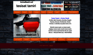 Tesisattamiri.net thumbnail