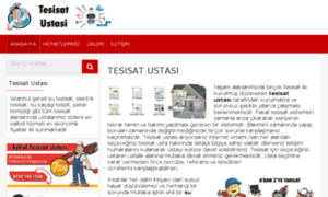 Tesisatustasi.org thumbnail