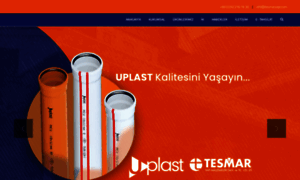 Tesmaryapi.com thumbnail