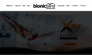 Test.bionicbird.com thumbnail